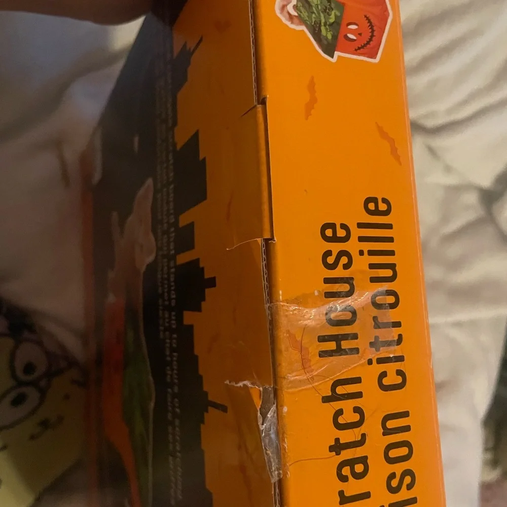 Kitty City Pumpkin Scratch House